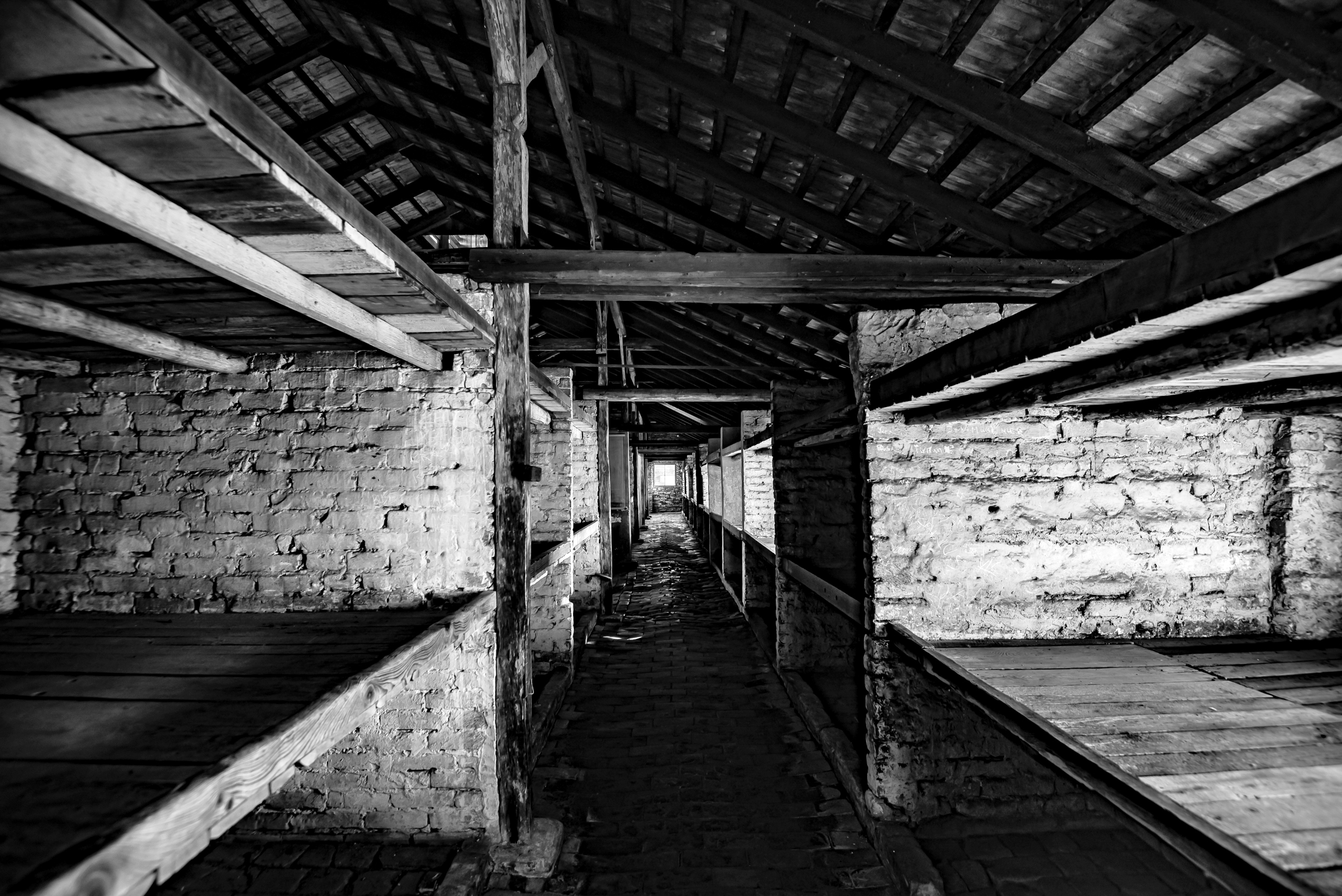 MILANO – “Tehom”, scatti dall’abisso di Auschwitz al Memoriale della Shoah