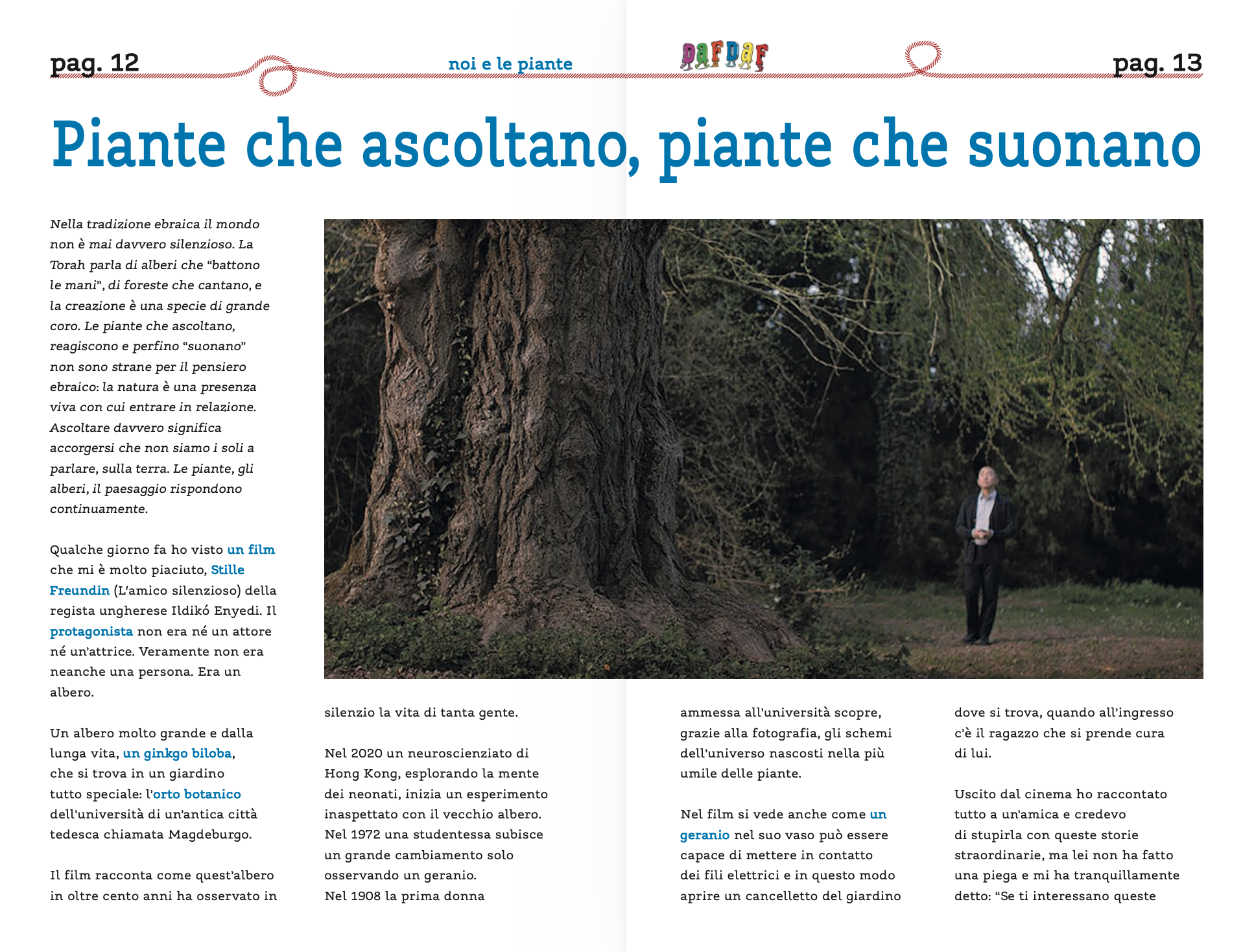 Le piante, l’estate e noi