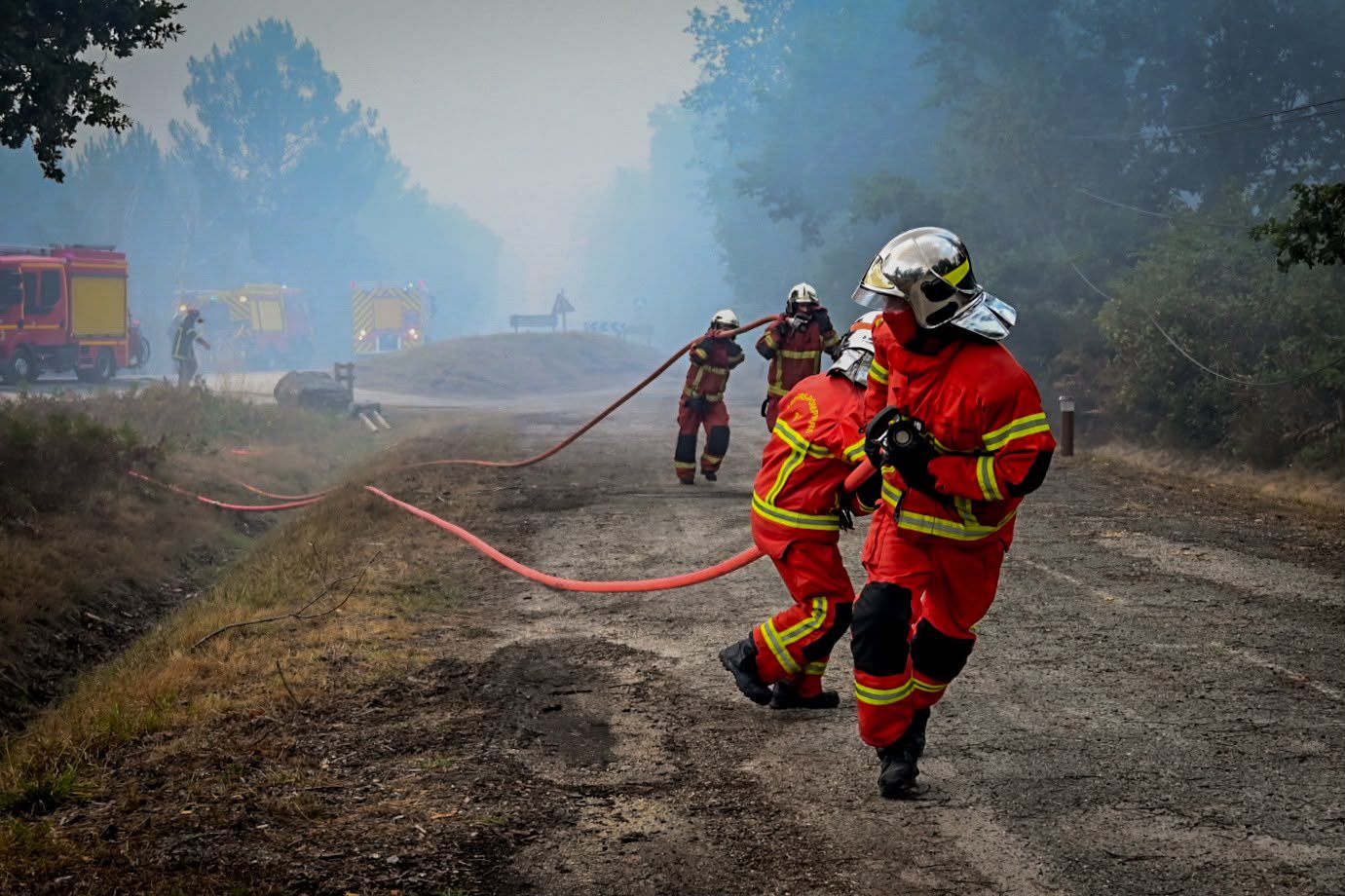 Roghi nel sud-ovest, la Comunità ebraica si mobilita